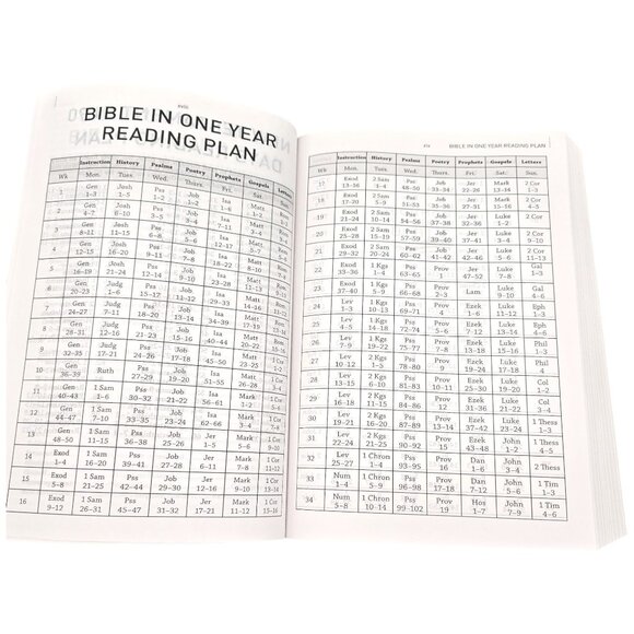 The Daily Life Bible LARGE PRINT EDITION Easy To Read Common English Bible - Picture 9 of 16